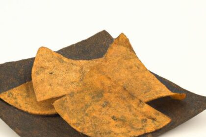 Crispy Air Fryer Tortilla Chips: A Healthier Snack Hack